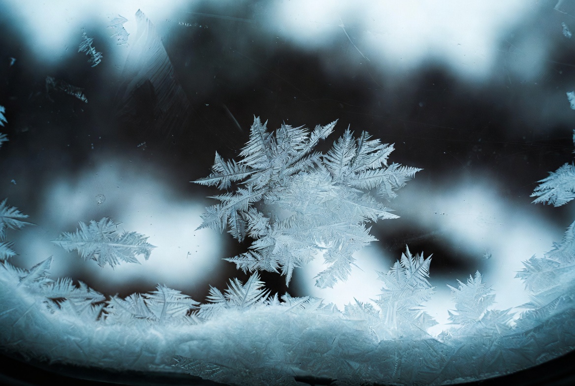 Intricate fern-like frost crystals cover a window pane during a hard freeze, dark trees blurred beyond the glass in cold blue light.